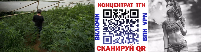 Дистиллят ТГК THC oil  где продают наркотики  это телеграм  Динская 