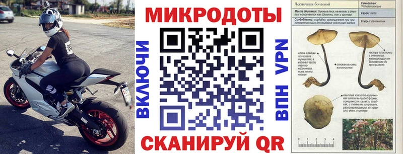 Галлюциногенные грибы мицелий  где купить наркоту  Динская 